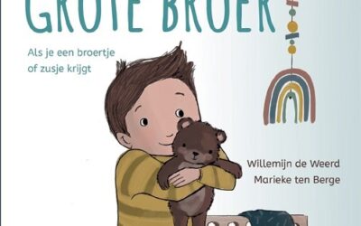 Grote broer