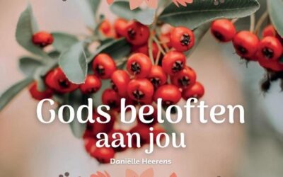 Gods beloften aan jou