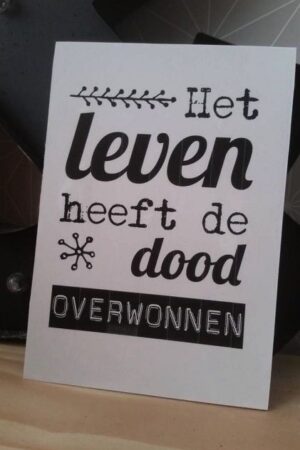 Canvas bord S 'Het leven heeft de dood o