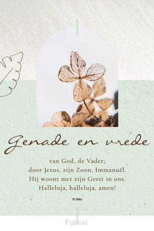 Enkele Kaart Genade en vrede