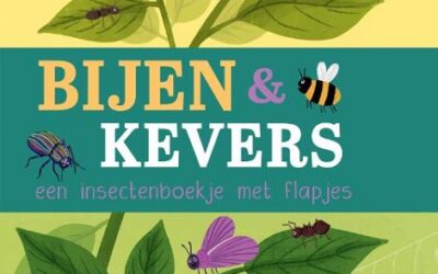 Bijen & kevers een insectenboekje met f