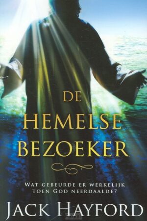 Hemelse bezoeker