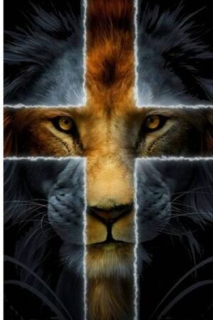 Flag 90x150cm lion/cross