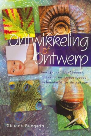 Ontwikkeling en ontwerp