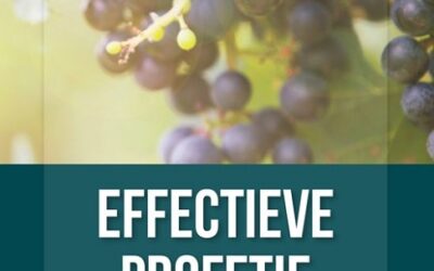 Effectieve profetie