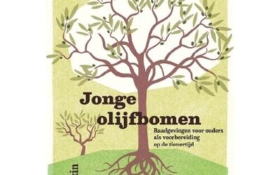 Jonge olijfbomen