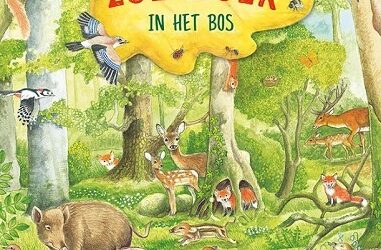 In het bos