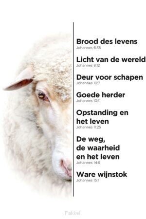 A4-bord schaap