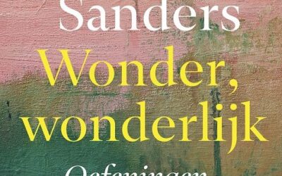 Wonder, wonderlijk