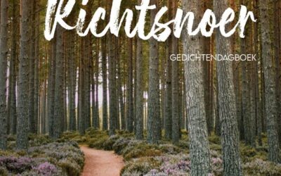 Richtsnoer