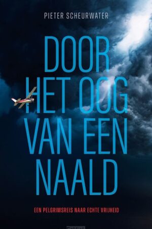 Door het oog van de naald