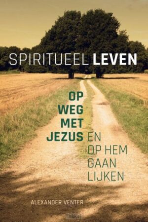 Spiritueel leven