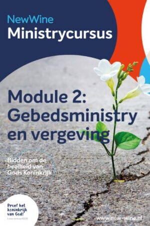 New Wine - Basis van gebedsministry 2