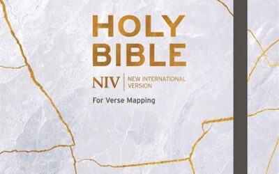 NIV – Bible for Journ. and verse mapping